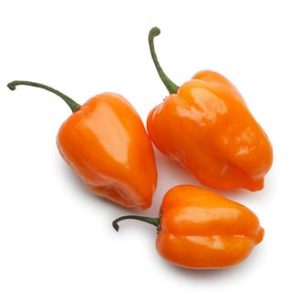 Chile Habanero