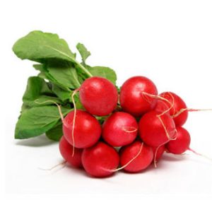 Radish Bunch