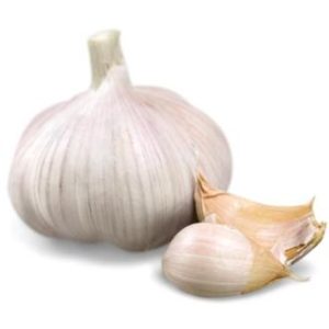 Garlic
