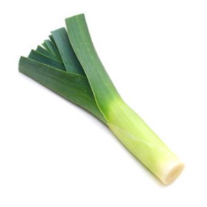 Leek