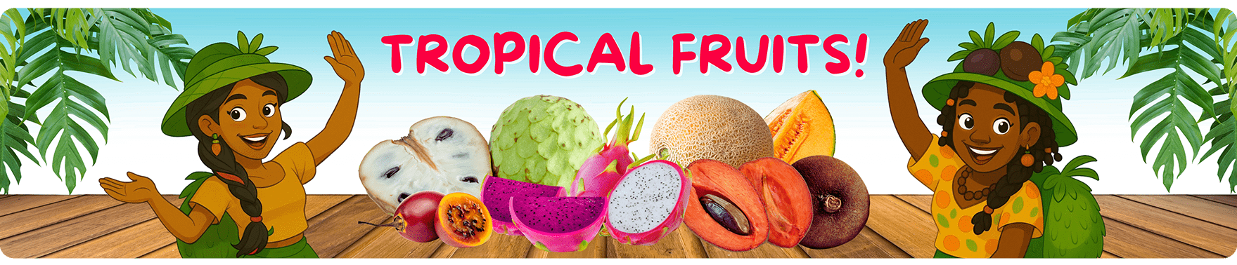 banner-myorder-tropical-D&F-min